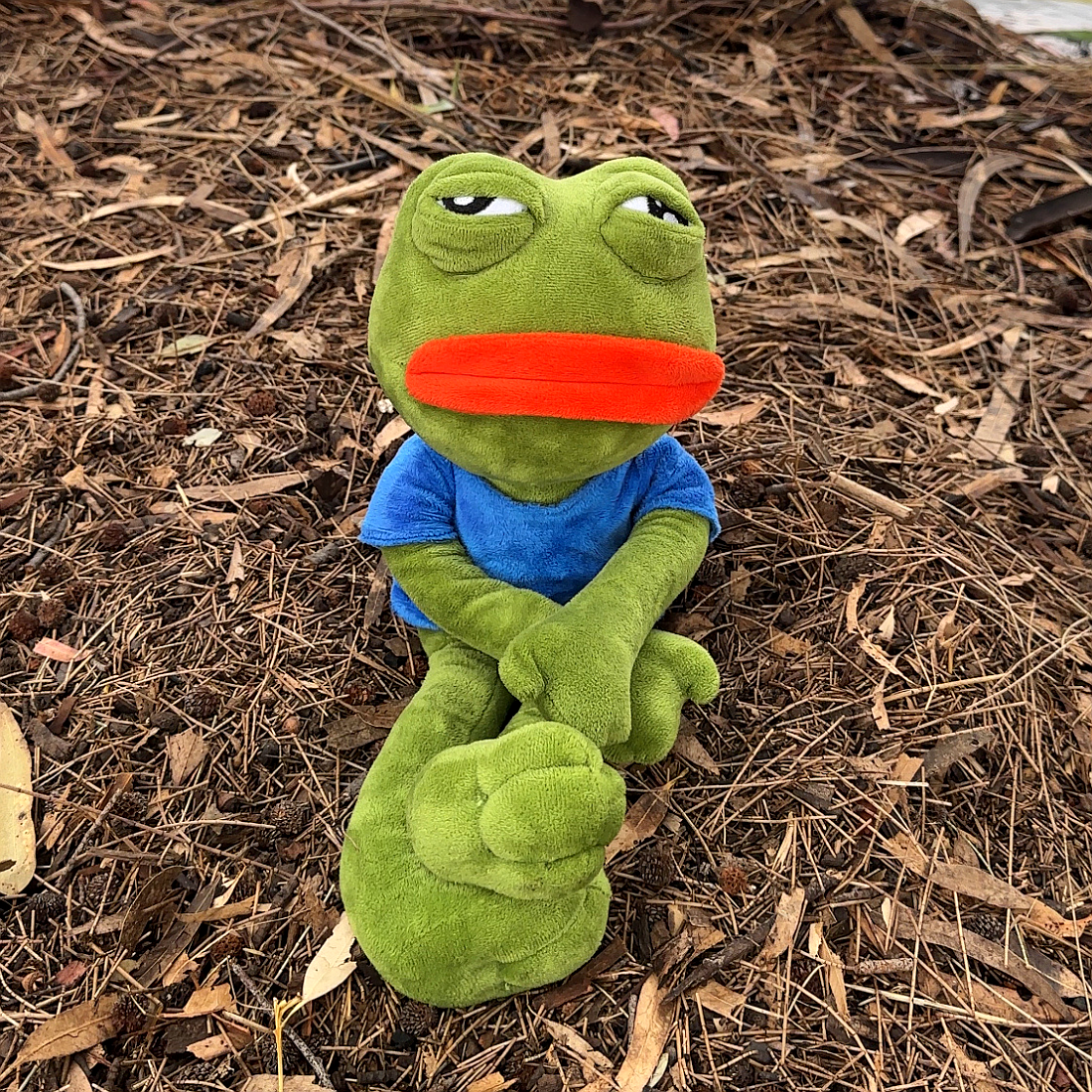 FroggyHug™- El Yapımı Pofuduk FROGGY